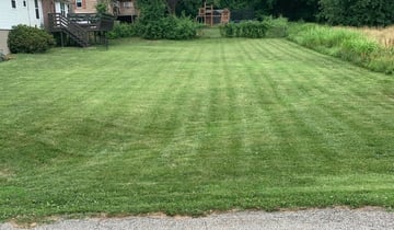1 Ocoee Fl Lawn Care Service Lawn Mowing From 19 Best 2020