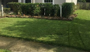 1 Olathe Ks Lawn Care Service Lawn Mowing From 19 Best 2020