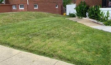 Parker Co Lawn Care Service Lawn Mowing From 19 Rated Best 2020