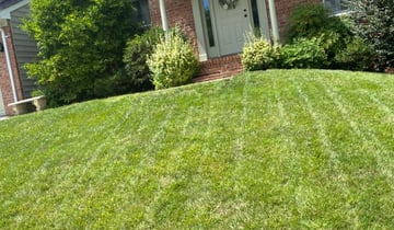 1 Parkville Md Lawn Care Service Lawn Mowing From 19 Best 2020