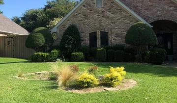Plano Tx Lawn Care Service Lawn Mowing From 18 Best Of 2020