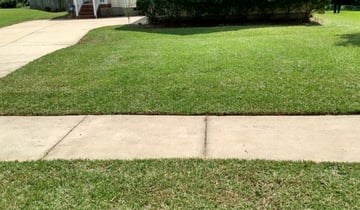 #1 Portsmouth, VA Lawn Care Service | Lawn Mowing from $19 ... Live weather reports from portsmouth weather stations and weather warnings that include risk of.