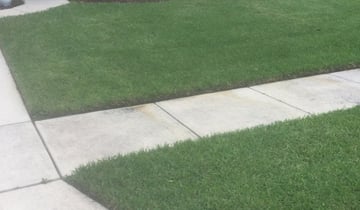 Powell Oh Lawn Care Service Lawn Mowing From 19 Lawnstarter