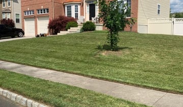 1 Providence Ri Lawn Care Service Lawn Mowing From 19 Best 2020