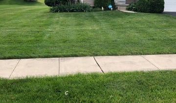 1 Quakertown Pa Lawn Care Service Lawn Mowing From 19 Best 2020