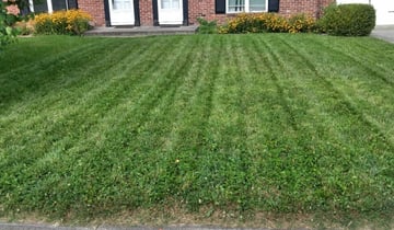 1 Ringgold Ga Lawn Care Service Lawn Mowing From 19 Best 2020