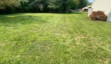 Rockville Md Landscaping From 29 1 Landscapers Best Of 2020