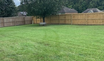 1 Roxboro Nc Lawn Care Service Lawn Mowing From 19 Best 2020