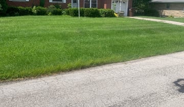 1 Sacramento Ca Lawn Care Service Lawn Mowing From 19 Best 2020