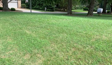 1 Saint Cloud Fl Lawn Care Service Lawn Mowing From 19 Best 2020