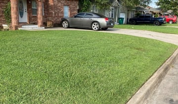 1 Saint Johns Fl Lawn Care Service Lawn Mowing From 19 Best 2020