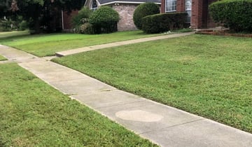 Scranton Pa Lawn Care Service Lawn Mowing From 19 Lawnstarter