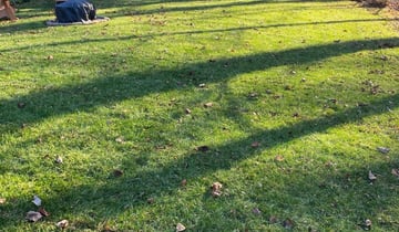 Seffner, FL Lawn Care Service | Lawn Mowing from $19 ...