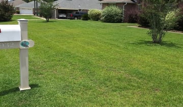 Springfield Mo Lawn Care Service Lawn Mowing From 19 Lawnstarter
