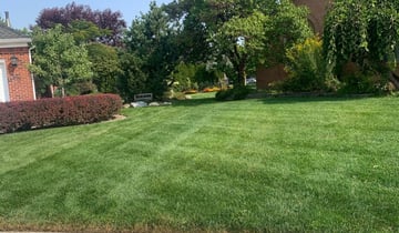 1 Sterling Heights Mi Lawn Care Service Lawn Mowing From 19 Best 2020
