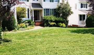 1 Suffolk Va Lawn Care Service Lawn Mowing From 19 Best 2020