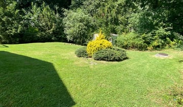 1 Tavares Fl Lawn Care Service Lawn Mowing From 19 Best 2020