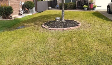 1 Trussville Al Lawn Care Service Lawn Mowing From 19 Best 2020