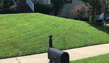 1 Wake Forest Nc Lawn Care Service Lawn Mowing From 19 Best 2020
