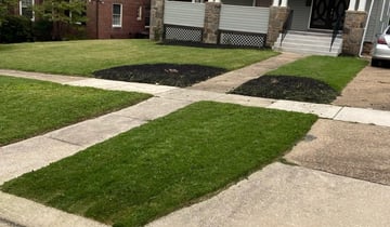 Wakefield Ri Lawn Care Service Lawn Mowing From 19 Rated Best 2020