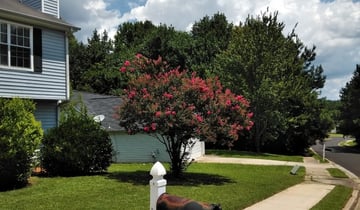 Waterloo Il Lawn Care Service Lawn Mowing From 19 Rated Best 2020