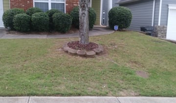 Waxahachie Tx Lawn Care Service Lawn Mowing From 19 Rated Best 2020