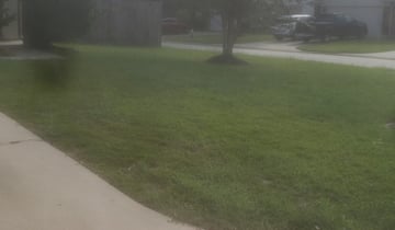1 Waxhaw Nc Lawn Care Service Lawn Mowing From 19 Best 2020