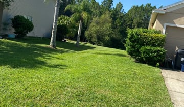 West Hartford Ct Lawn Care Service Lawn Mowing From 19 Rated Best 2020