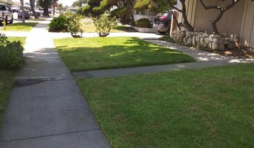 Whittier Ca Lawn Care Service Lawn Mowing From 19 Rated Best 2020