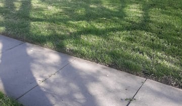 1 Wichita Ks Lawn Care Service Lawn Mowing From 19 Best 2020