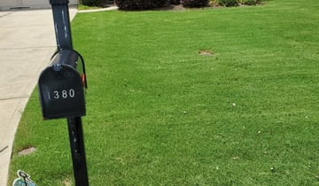 Winter Garden Fl Lawn Care Service Lawn Mowing From 19