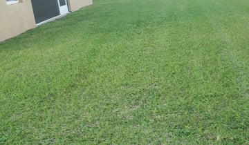 1 Winter Haven Fl Lawn Care Service Lawn Mowing From 19 Best
