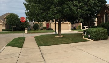 1 Woodbury Tn Lawn Care Service Lawn Mowing From 19 Best 2020