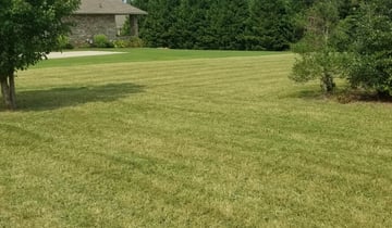 Woodland Park Co Lawn Care Service Lawn Mowing From 19 Rated Best 2020