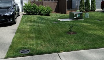 Yorktown Va Lawn Care Service Lawn Mowing From 19 Rated Best 2020