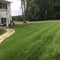 1 Baltimore Md Lawn Care Service Lawn Mowing From 19 Best 2020