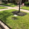 Commercial Landscaping Services Can Boost The Value Of Your Home Lawn Care Commercial Landscaping Spring Lawn Care