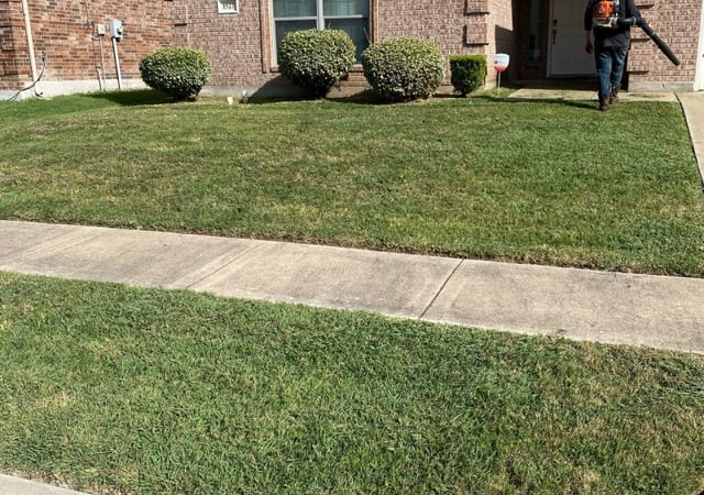 Arlington Tx Lawn Care Service Lawn Mowing From 19 Rated Best 2020