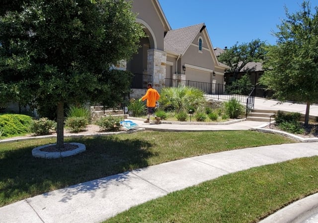 Cedar Park Tx Lawn Care Service Lawn Mowing From 19 Rated Best 2020