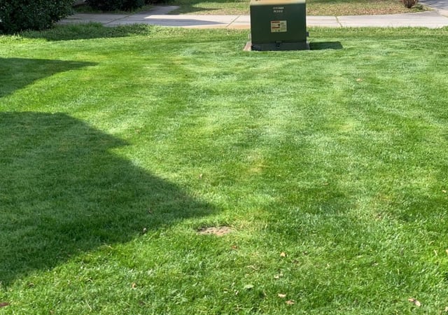 Concord, NC Lawn Care Service | Lawn Mowing from $19 ...