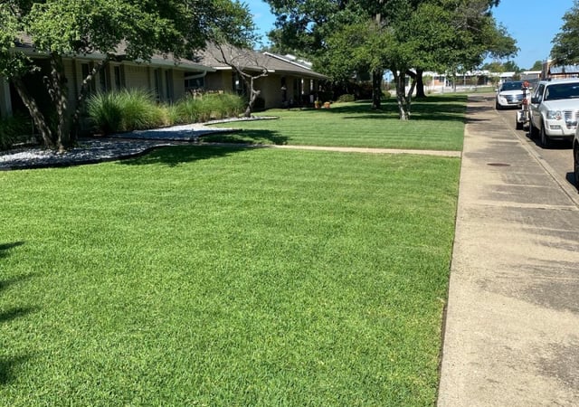 Dallas TX Lawn Care Service - Dallas Tx Lawn Care 5343
