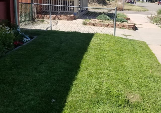 #1 Denver, CO Lawn Care Service | Lawn Mowing from $19 ...