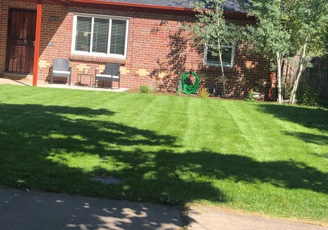 1 Denver Co Lawn Care Service Lawn Mowing From 19 Best 2020