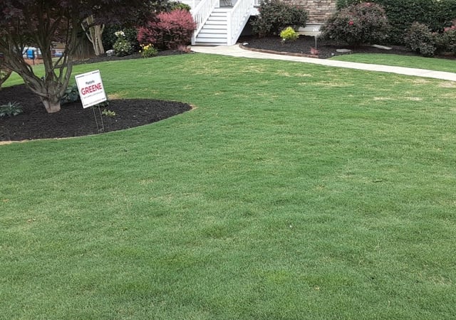 Jacksonville Fl Lawn Care Service Lawn Mowing From 19 Rated Best 2020