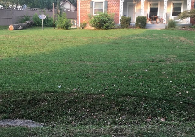 Nashville, TN Lawn Care Service | Lawn Mowing from $19 | Rated Best 2020