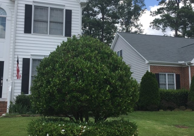 1 Raleigh Nc Lawn Care Service Lawn Mowing From 19 Best 2020