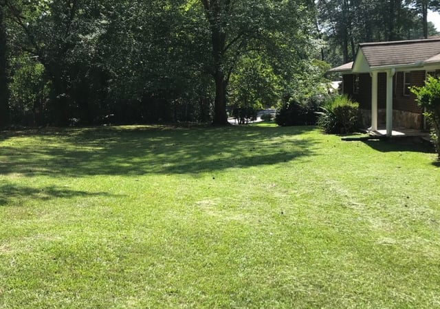 San Diego Ca Lawn Care Service Lawn Mowing From 19 Lawnstarter