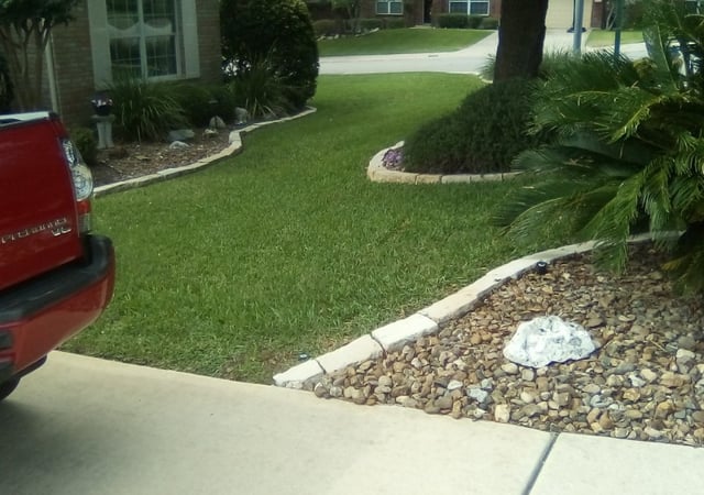 San Diego Ca Lawn Care Service Lawn Mowing From 19 Lawnstarter