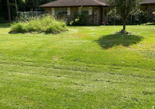 1 San Jose Ca Lawn Care Service Lawn Mowing From 19 Best 2020