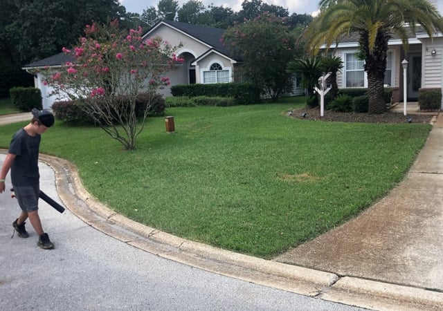 1 Seattle Wa Lawn Care Service Lawn Mowing From 19 Best 2020